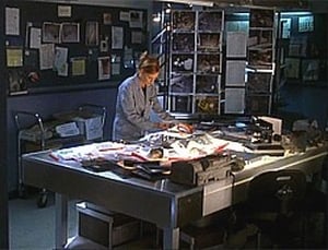 CSI: Investigação Criminal: 3×22