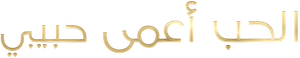 Love is Blind: Habibi — Logos 2