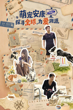 探寻全球，为爱溯源