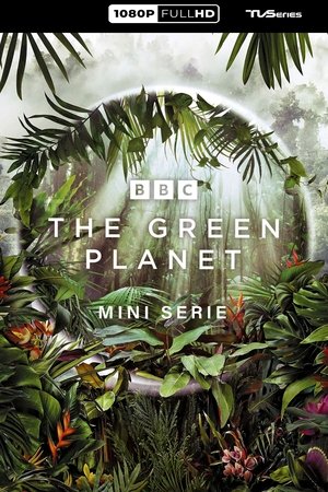 Image The Green Planet