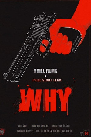 Why (2026)
