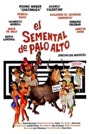 Poster El semental de Palo Alto (1988)