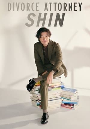 Divorce Attorney Shin  ()