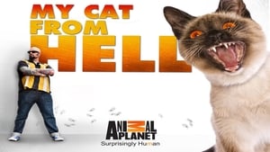 poster My Cat from Hell