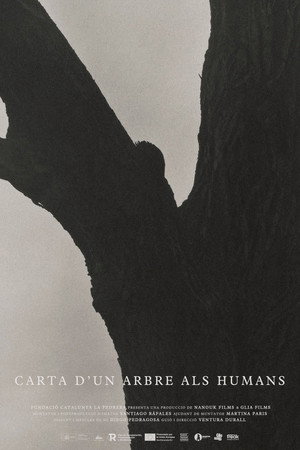 Carta d’un arbre als humans