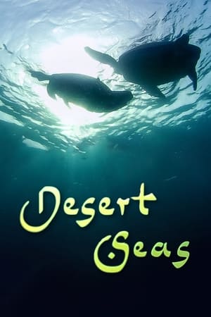 Desert Seas 2011