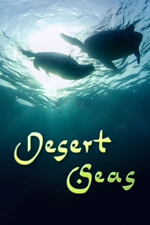 Poster Desert Seas 2011
