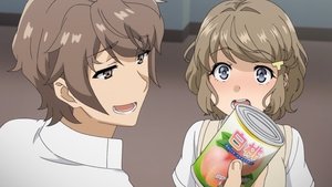Rascal Does Not Dream of Bunny Girl Senpai Season 1 Episode 5