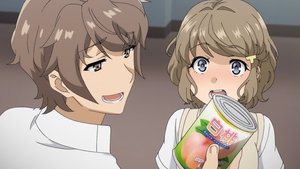 Seishun Buta Yarou wa Bunny Girl Senpai no Yume wo Minai: 1 Staffel 5 Folge