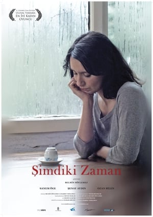 Poster Şimdiki Zaman 2012