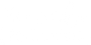 Because This Is My First Life เพราะนี่คือชีวิตแรกของฉัน ( 16ตอนจบ )