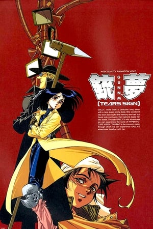 Poster 銃夢 1993