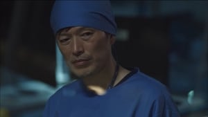 Image Episode 14