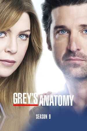 Grey's Anatomy: Säsong 9