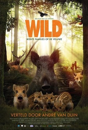 Wild op De Veluwe