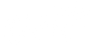 Fight or Love? — Logos 1