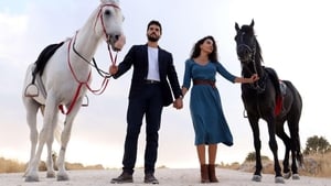 Hercai: Sezon 2 Odcinek 17