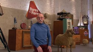 Bares für Rares: 14×96