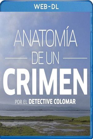 Poster de Anatomía de un crimen