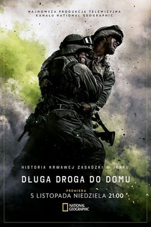 Poster Długa droga do domu Sezon 1 Dolina śmierci 2017