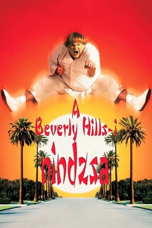 Poster Beverly Hills-i nindzsa 1997