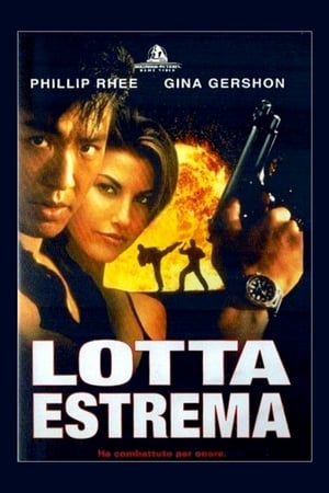 Lotta estrema