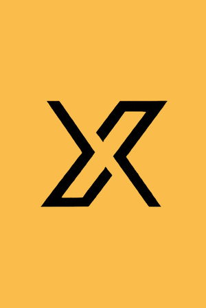 X调查 (2024)