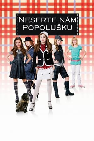 Poster Neserte nám Popolušku 2008