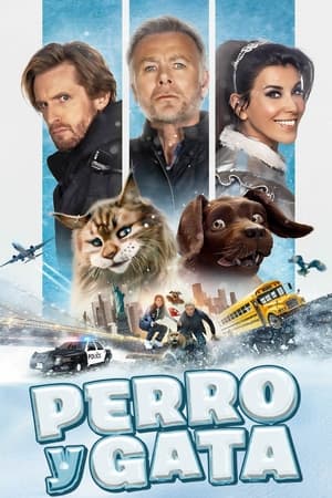 Pelicula Perro y gata