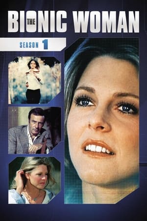 The Bionic Woman: Season 1