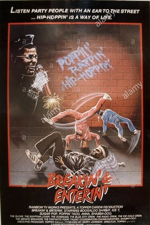 Poster Breakin' 'n' Enterin' 1983