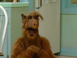 ALF S01E19