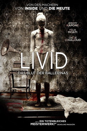 Livid 17