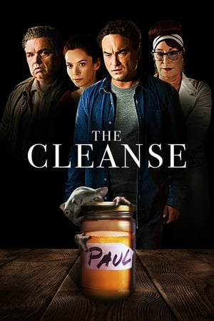 The Cleanse (2018)