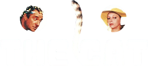 Il gatto — Logos 2
