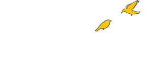 Platonique — Logos 2