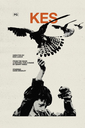 Постер фильма «Кес (1969)» — (17 из 33)