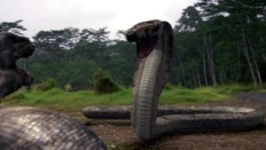 Komodo vs. Cobra (2005)