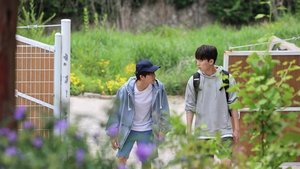 Eccentric Romance ( 2024 )
