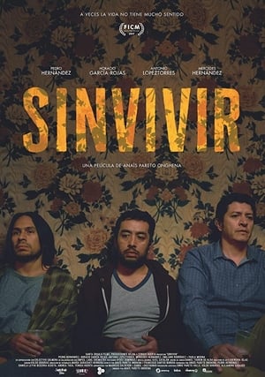 Poster Sinvivir 2017