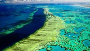 poster Great Barrier Reef with David Attenborough