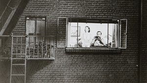 Rear Window (1954)