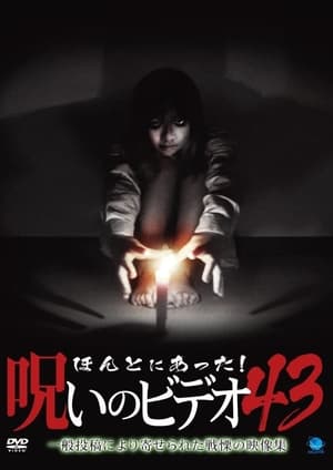 Poster Honto ni Atta! Noroi no Video 43 2011