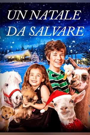 Image Un Natale da salvare