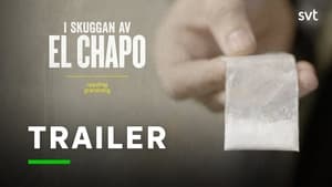 Uppdrag granskning: I skuggan av El Chapo (2021)