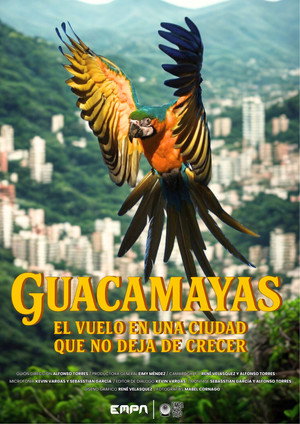 poster_Guacamayas: El vuelo en una ciudad que no deja de crecer