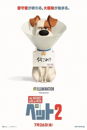 <Images posters