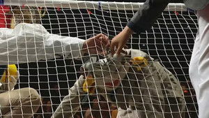 Mystery Music Show: King of Mask Singer Episode 152