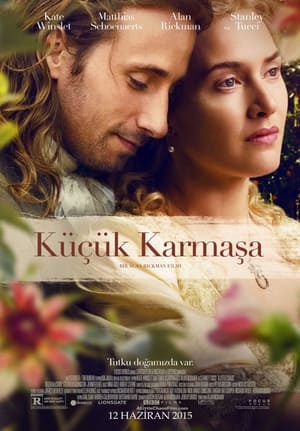 Poster Küçük Karmaşa 2015