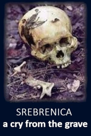 Srebrenica: A Cry from the Grave poster